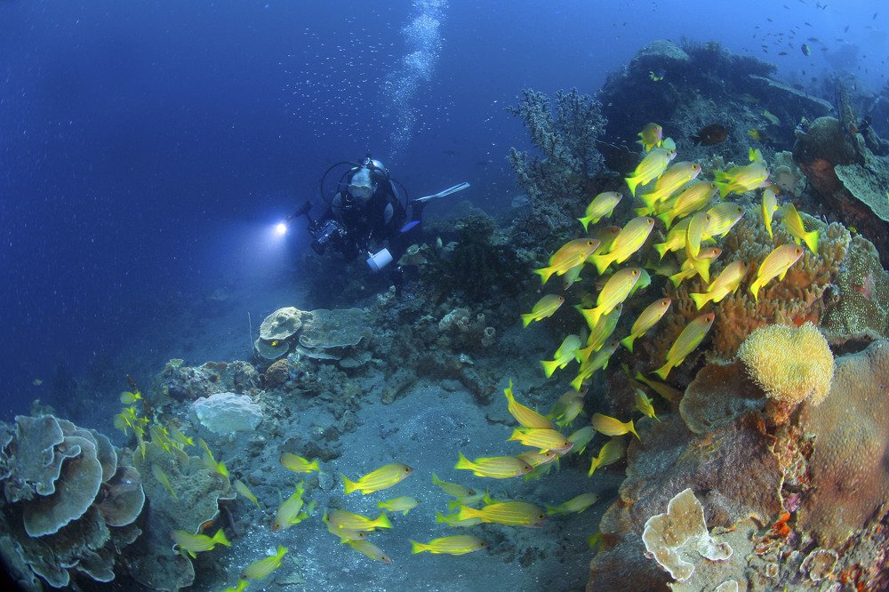 Photograph by Сергей Глущенко