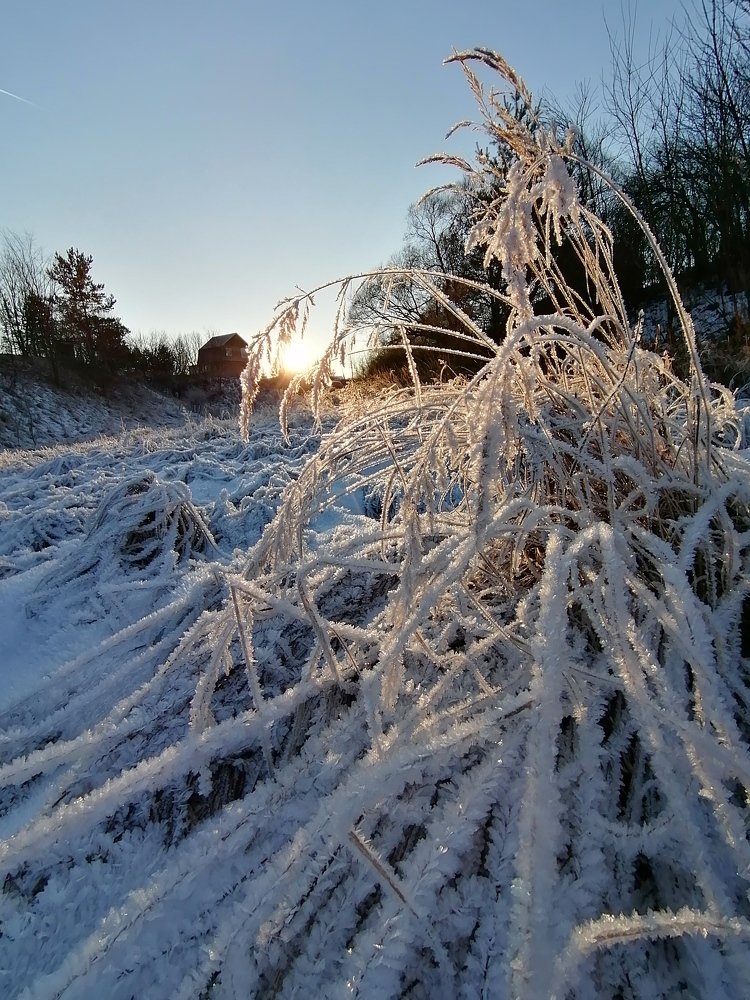 Фотография автора Кравцова Светлана