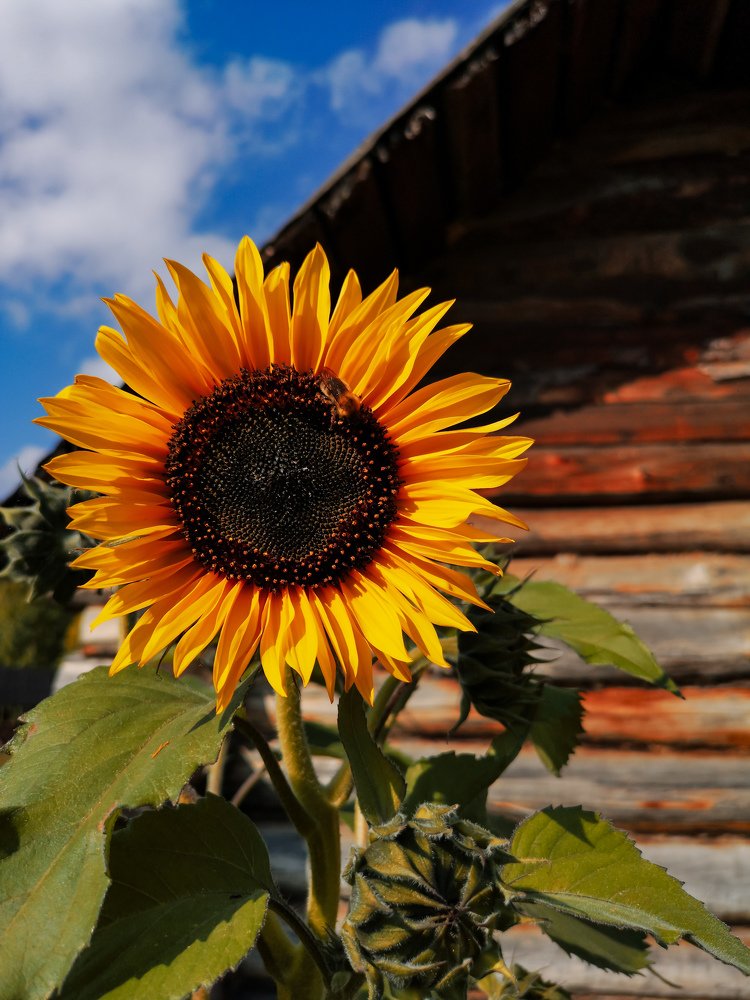 Photograph by Марина Суслова