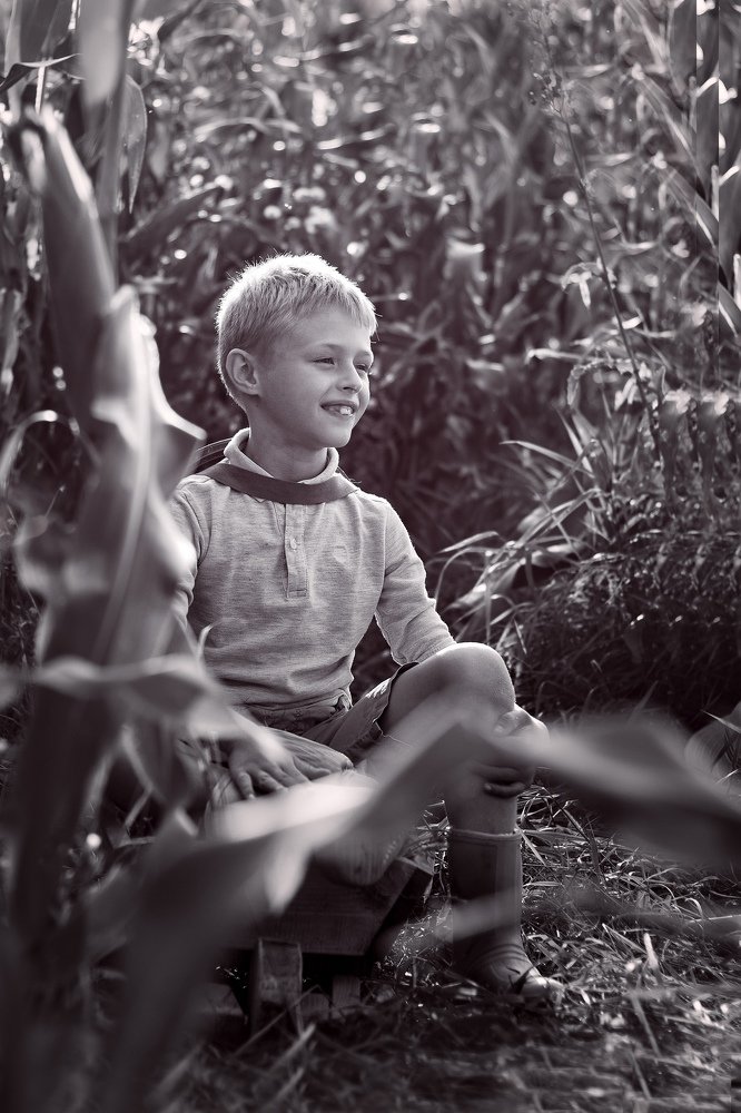 Взгляд в будующее