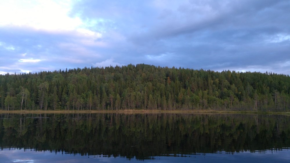 Photo #5427603