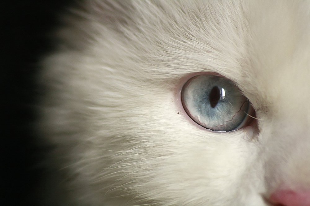 Фотография автора Anil Prabhakar