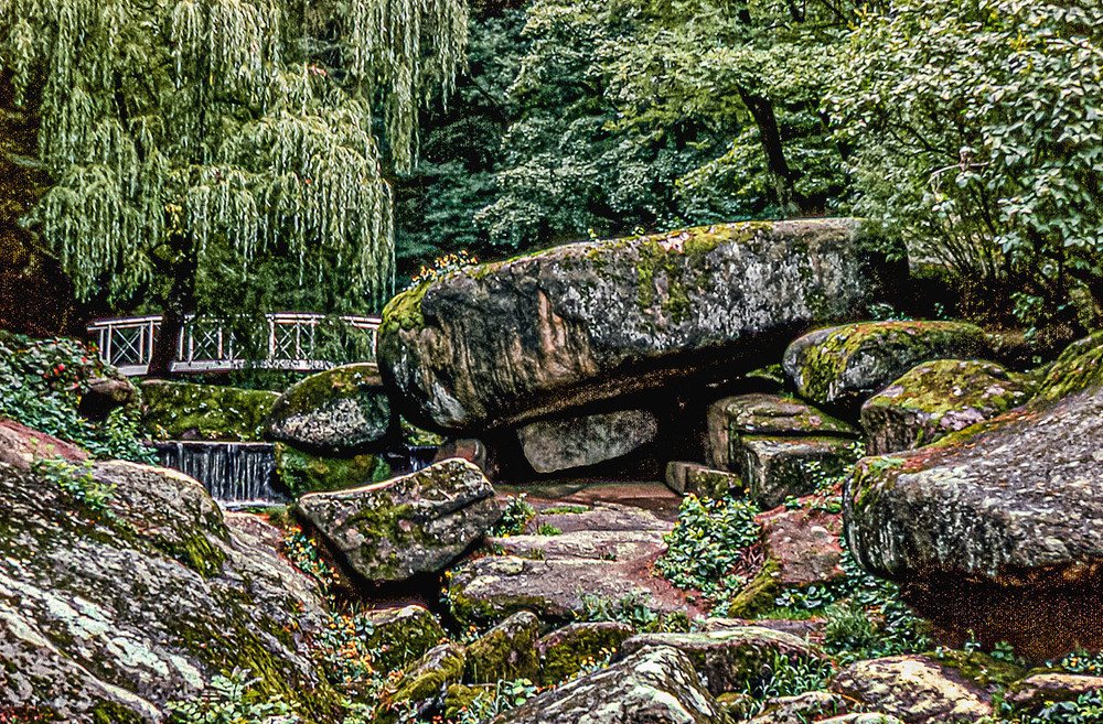 Photograph by Vladimir  Komarov