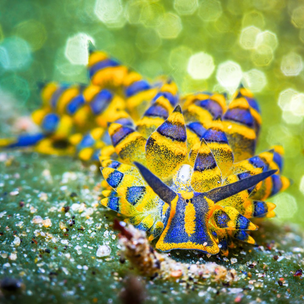 Photograph by Андрей Савин