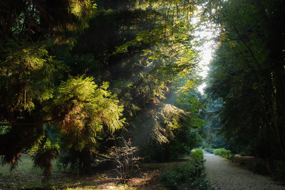 Photograph by Виктория Козинец