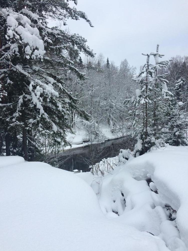 Photograph by Николай Ковальчук