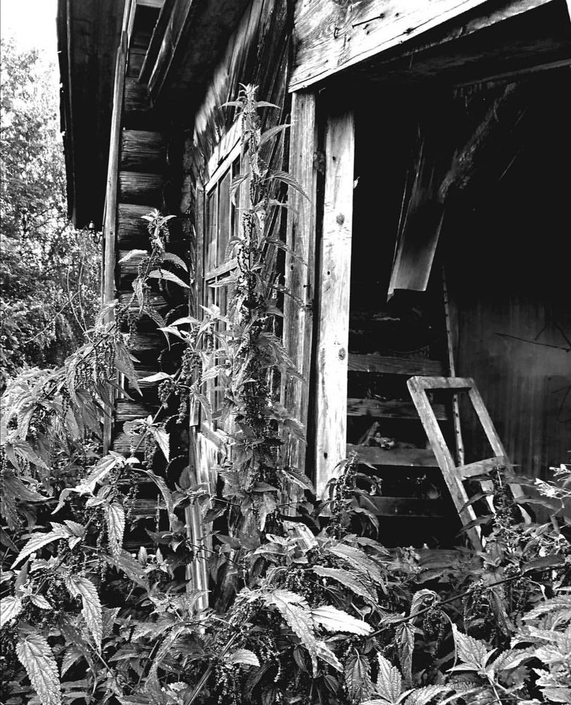 Тайна заброшенного дома