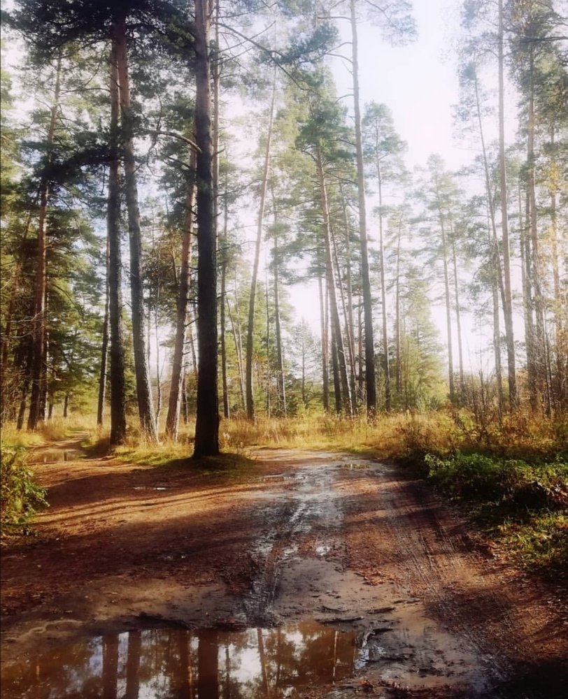 После дождя