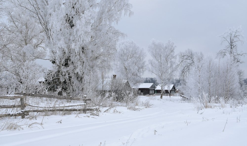 Photograph by Елена Кистровских