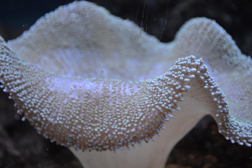 Photograph by Анжелика Трошина