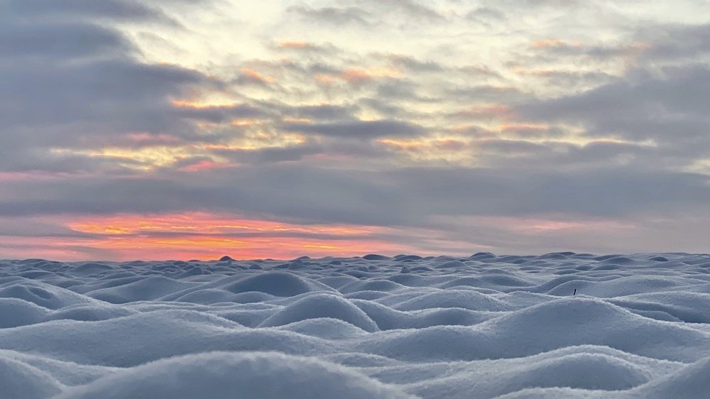 Photograph by Елена Гарибян