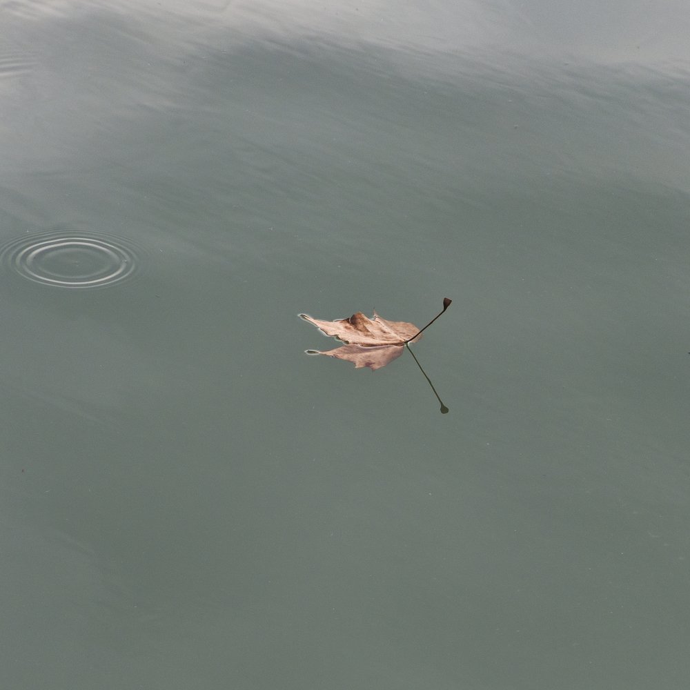 Photograph by Manjri Saxena