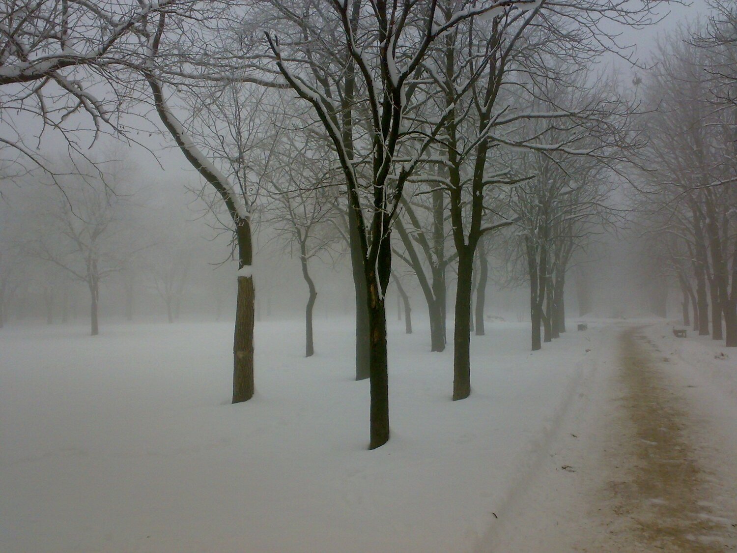 Photo #5428328