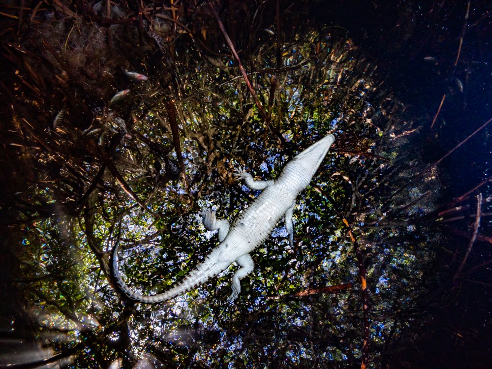 Photograph by Juan Murillo