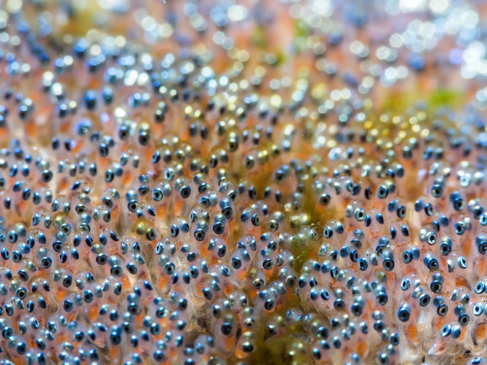 Photograph by Juan Murillo