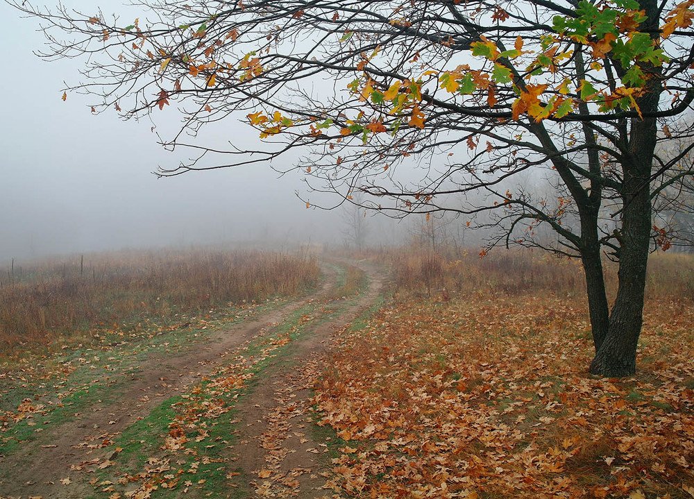 Photograph by Евгений Кулик