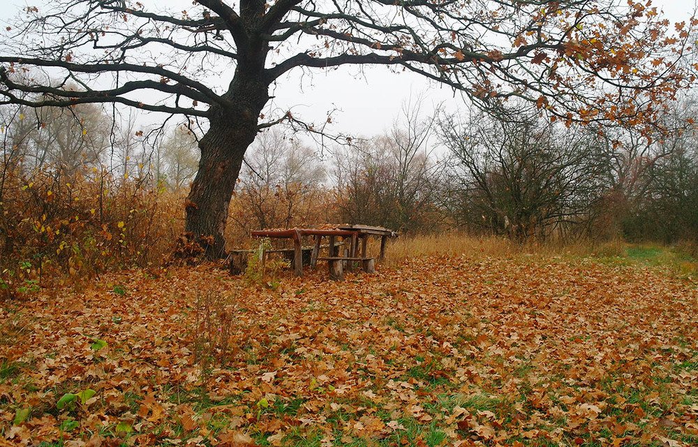 Photograph by Евгений Кулик