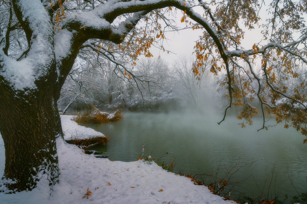 Photograph by Alexander Plekhanov