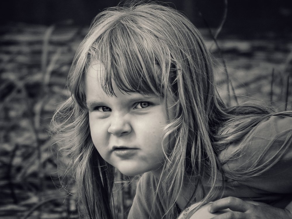 Photo #5428422