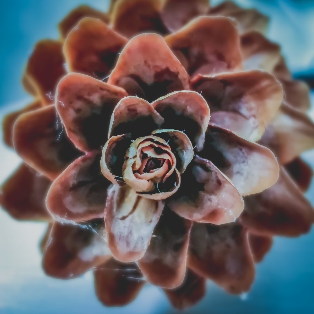 Photograph by Valentina