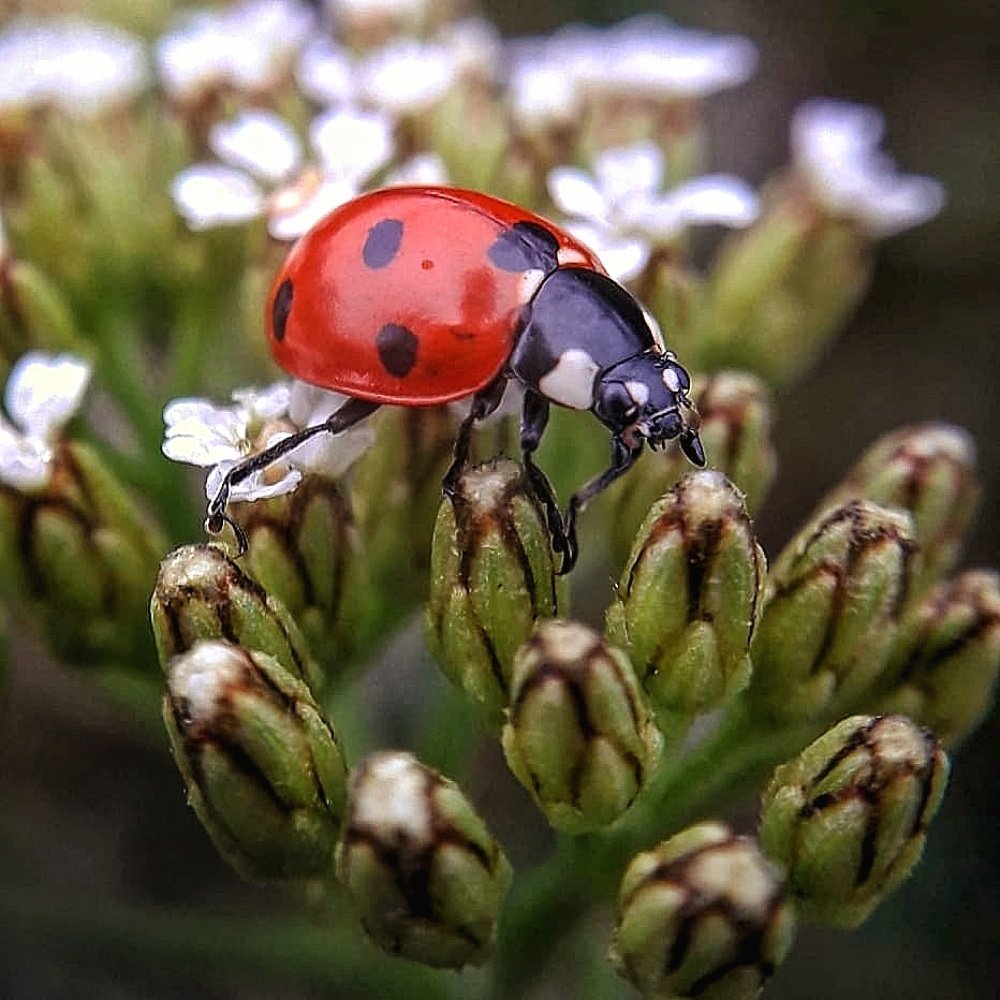 Лови момент.Спешу...