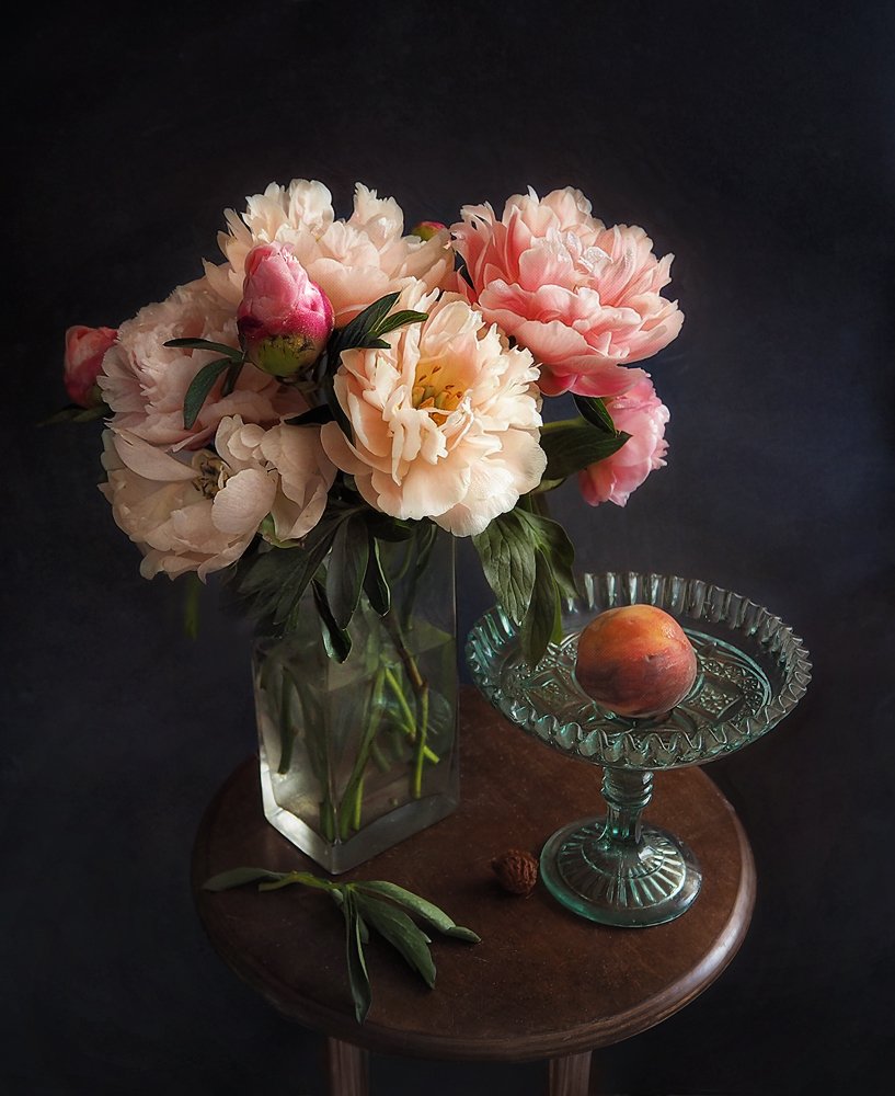 Фотография автора Vera Eremeeva