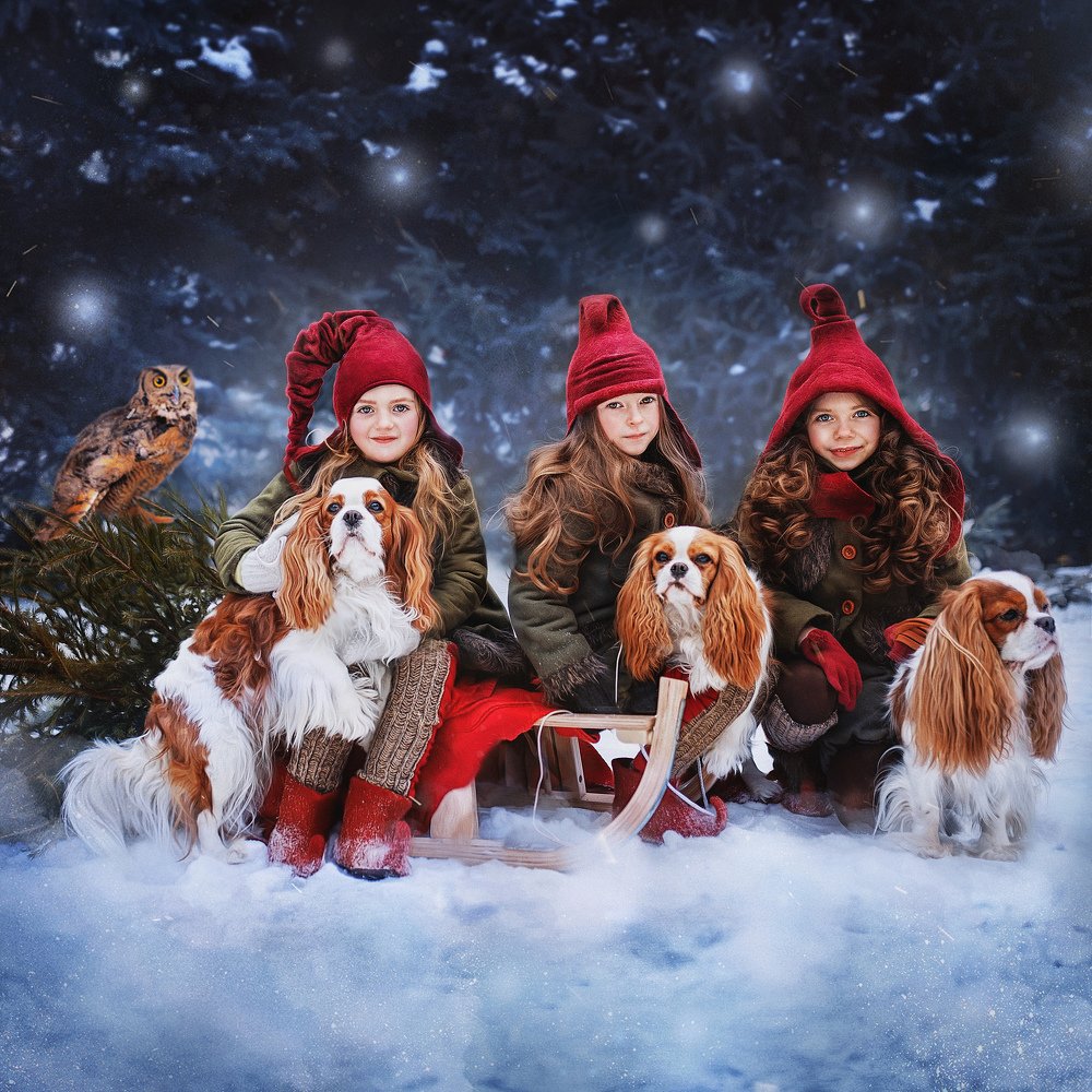 Photograph by Валентина Кашина