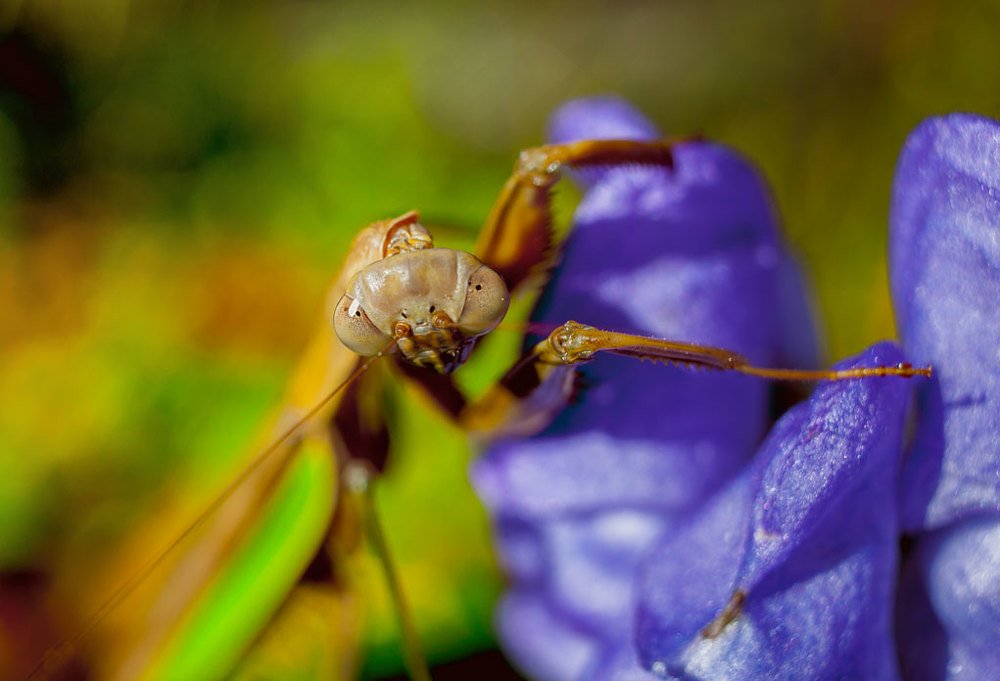 Фотография автора andrey gagarin