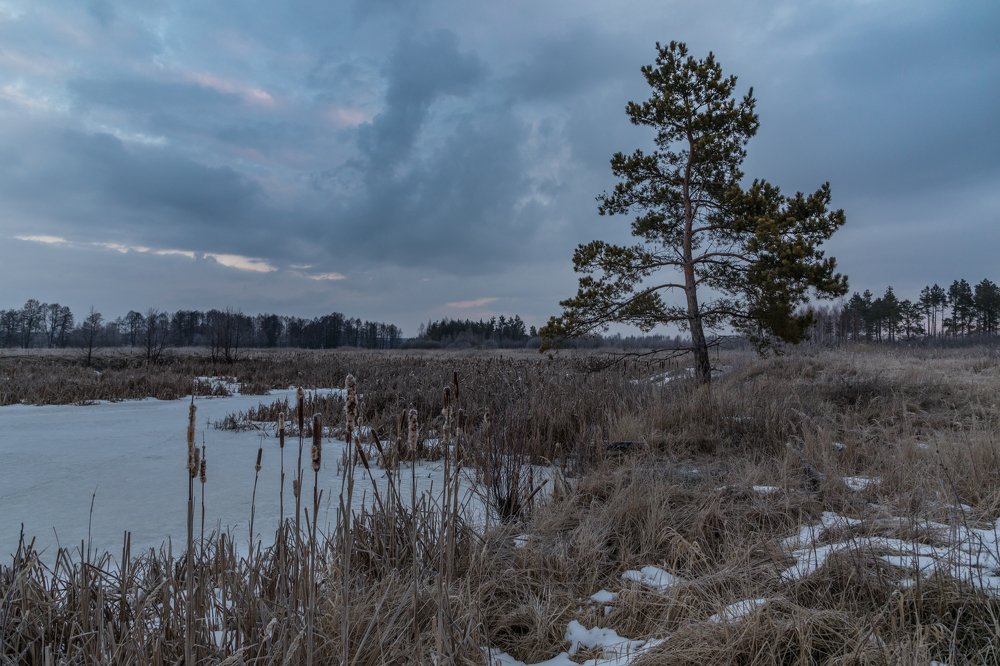 Photograph by Евгений Патрешов