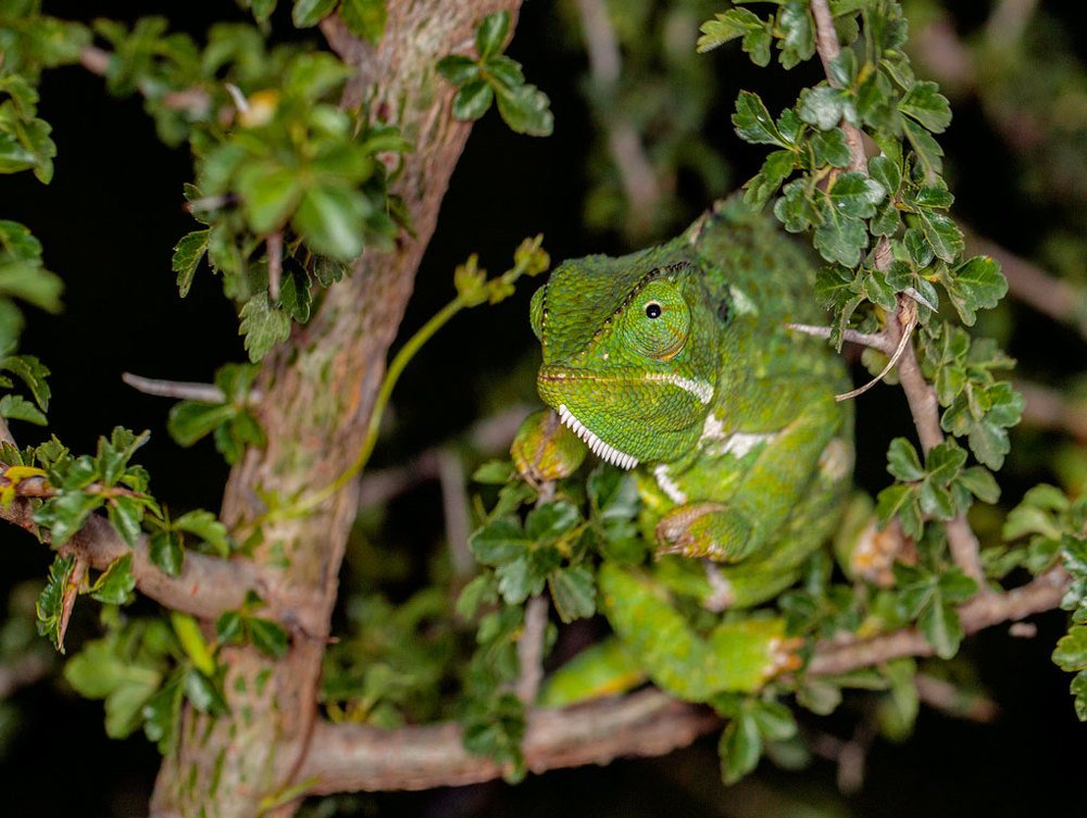 Фотография автора andrey gagarin