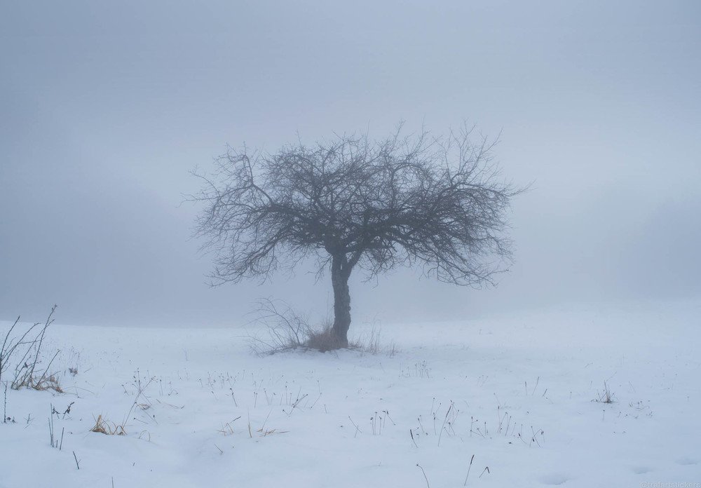 Молочные ванны.