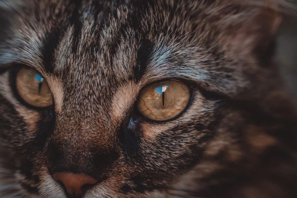 Photograph by Алексей Павленко