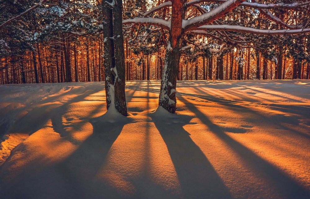 Photograph by Romanov Denis