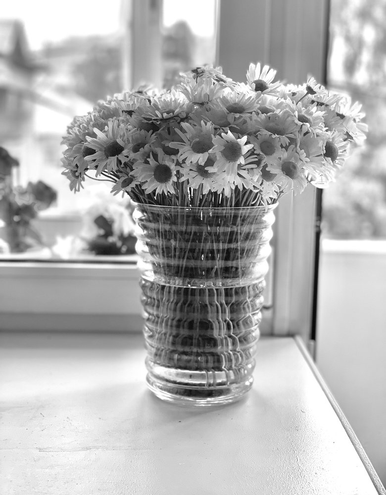 Photograph by Anastasia Malysh