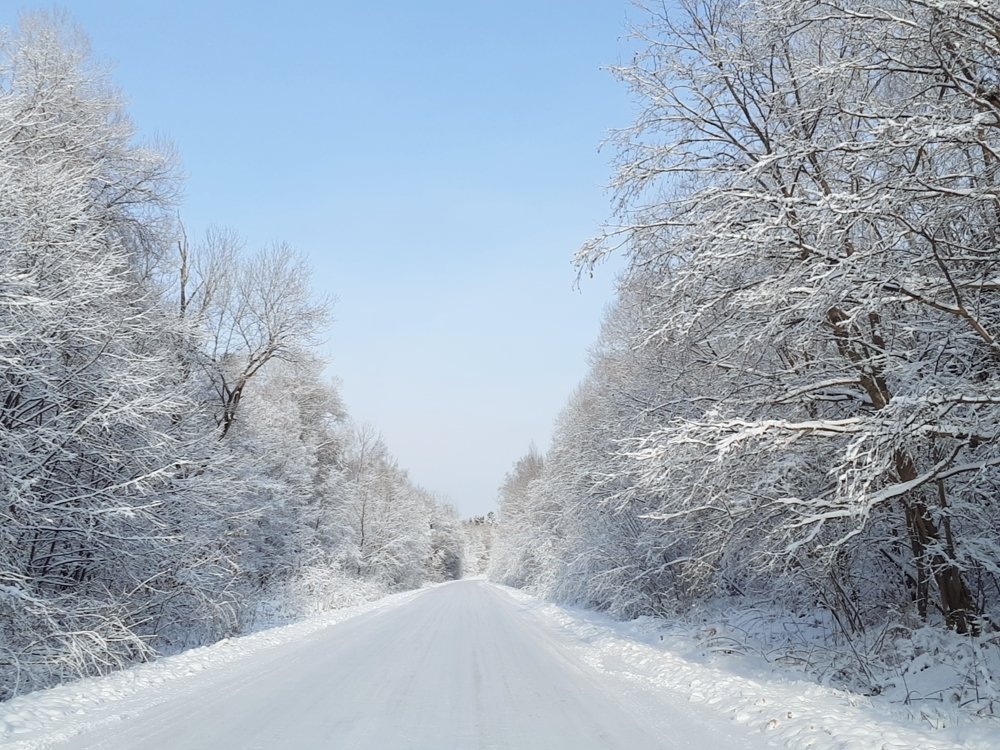 Photograph by Мария Вишневская