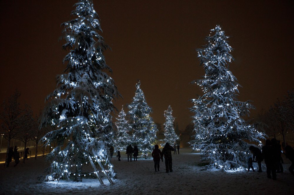 Photograph by Ольга Юсупова