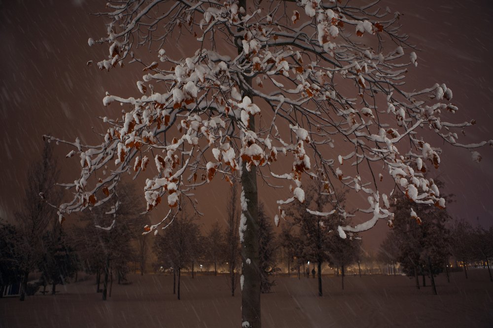 Photograph by Ольга Юсупова