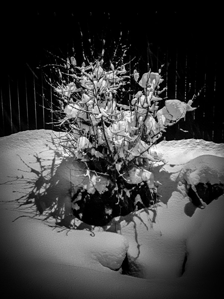 Photograph by Мария Вишневская