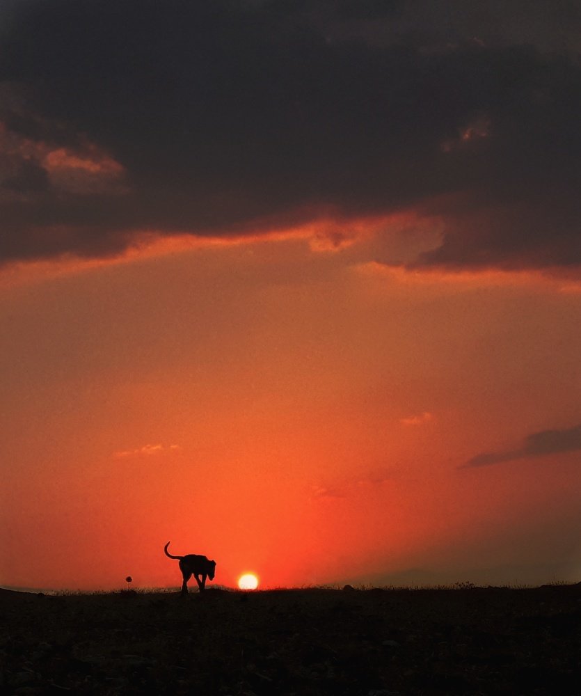 Photograph by Khosro Sayadi