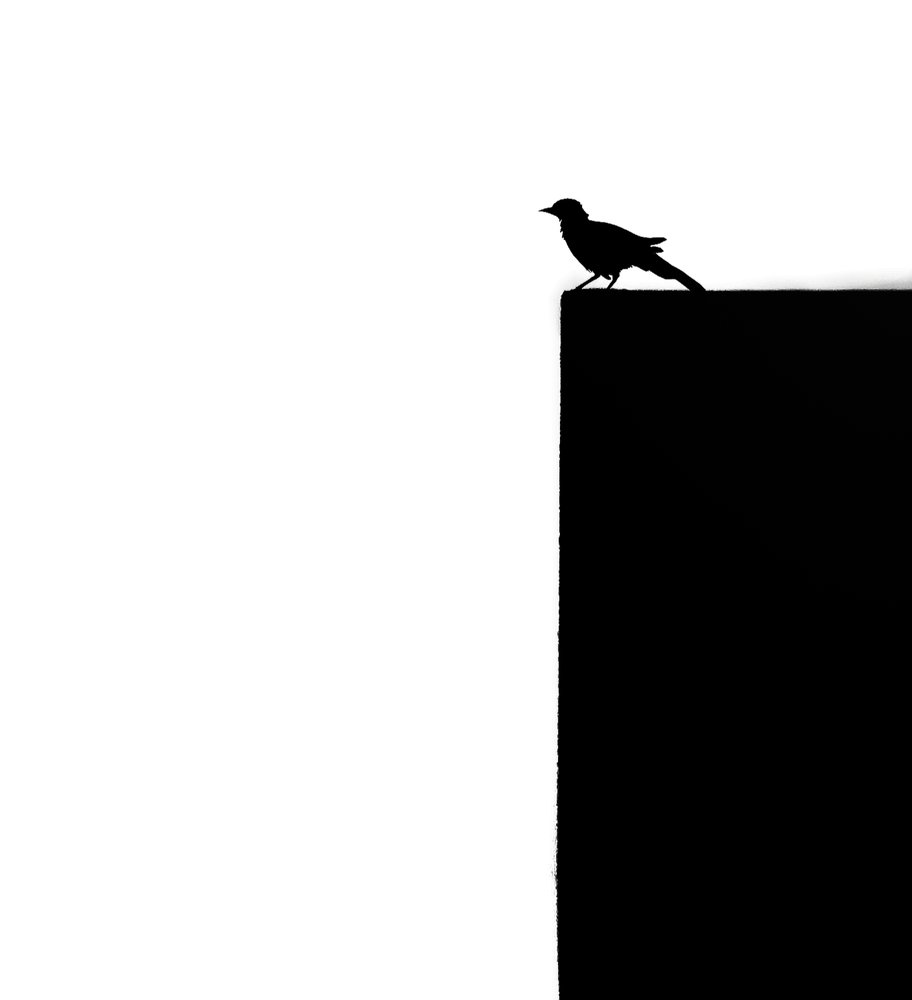 Photograph by Hafiz Zenab