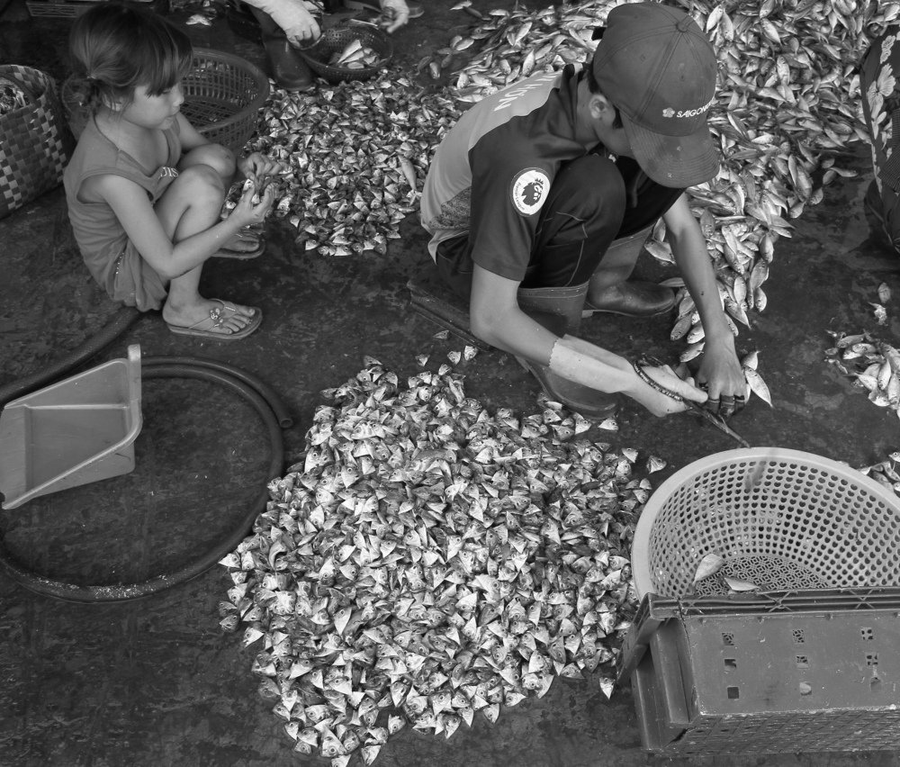 Photograph by nguyên trương