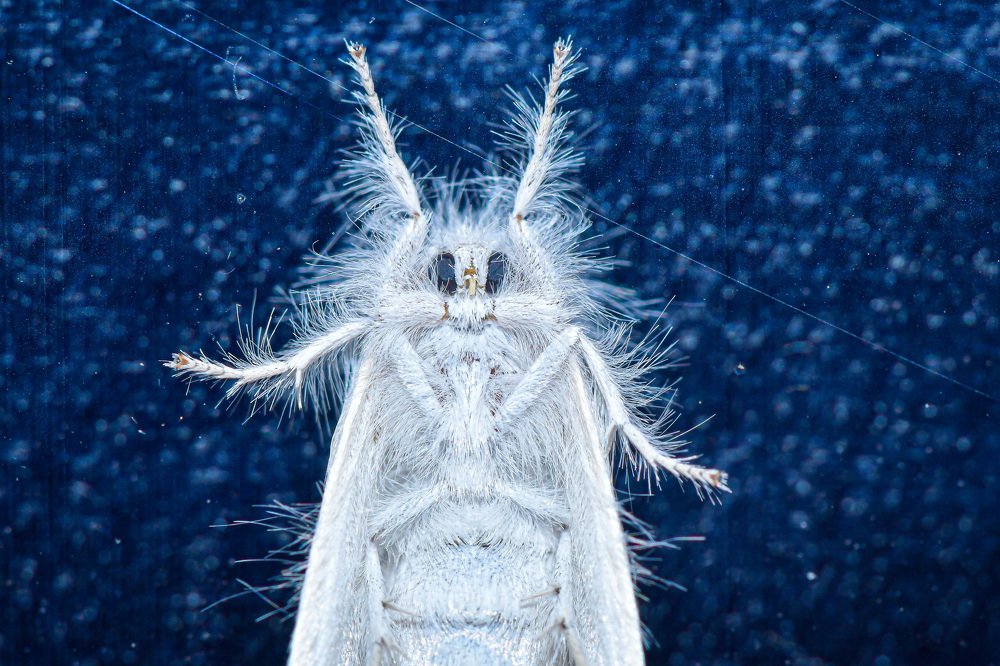 Photograph by Jerry Tsang