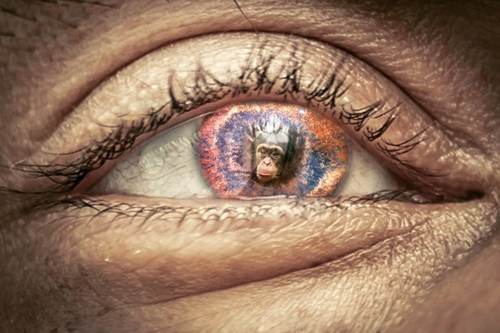 Photograph by Артур Газиев