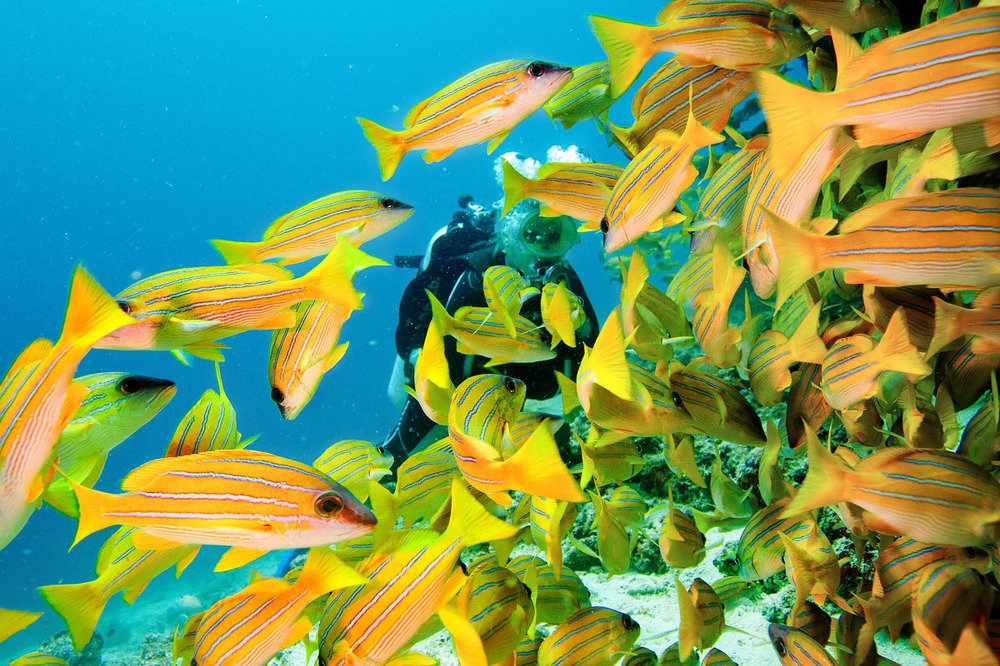 Фотография автора Павел Жигалов