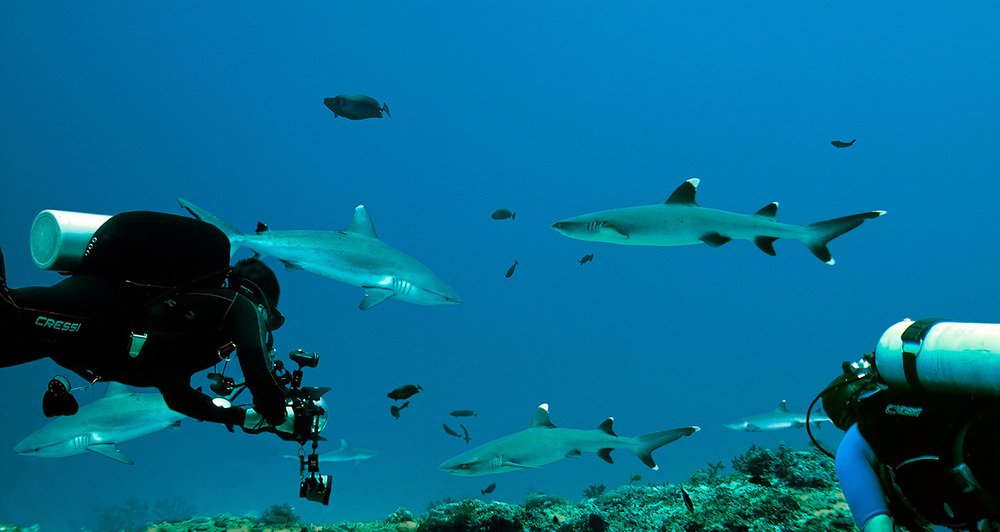 Фотография автора Павел Жигалов