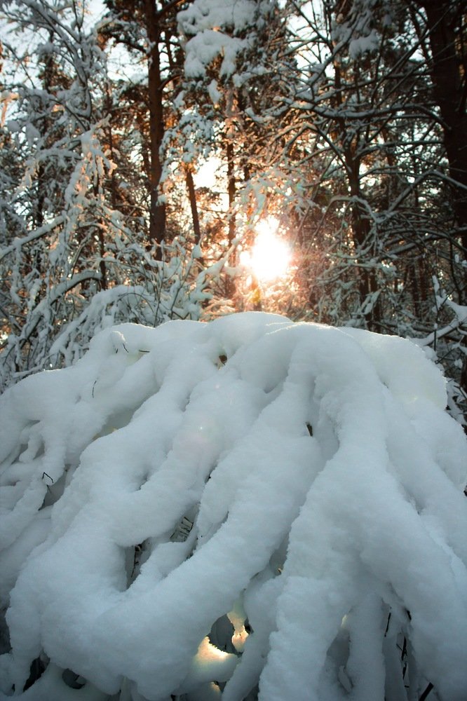 Photograph by Дубинин Сергей