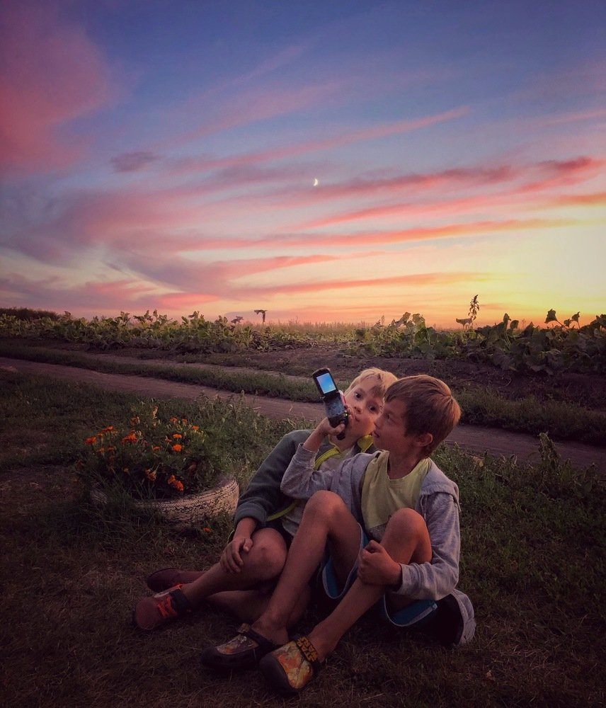 Летний вечер в деревне