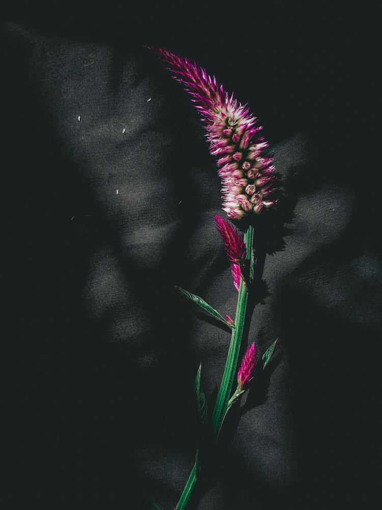 Фотография автора Mamoun Merghani