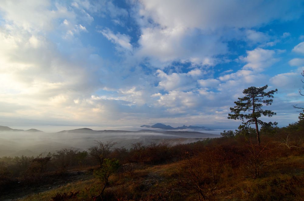 Photograph by Александр Пугачев