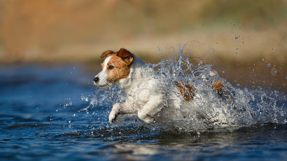 Photograph by Мария Давыдова